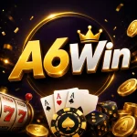 A6Win